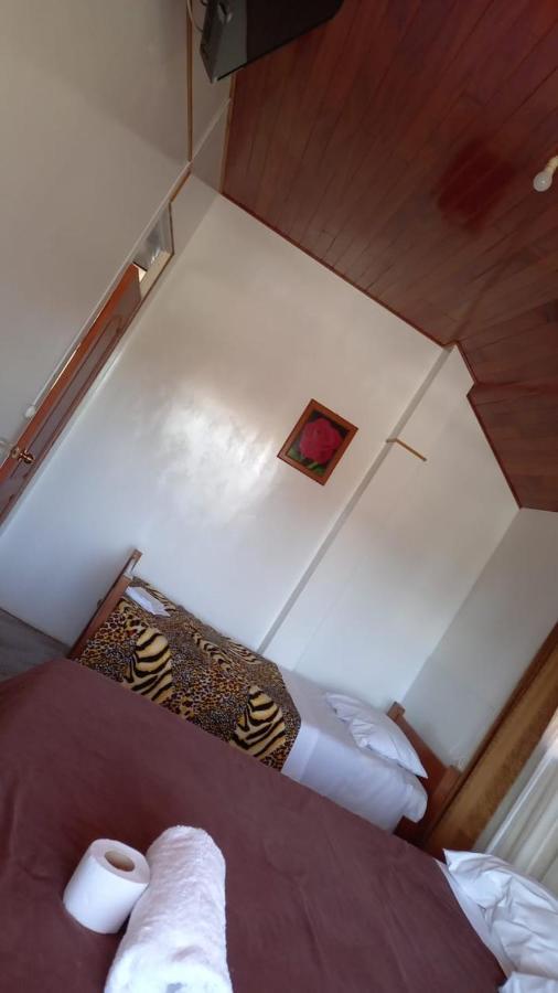 Affittacamere Suzet House Oxapampa Esterno foto