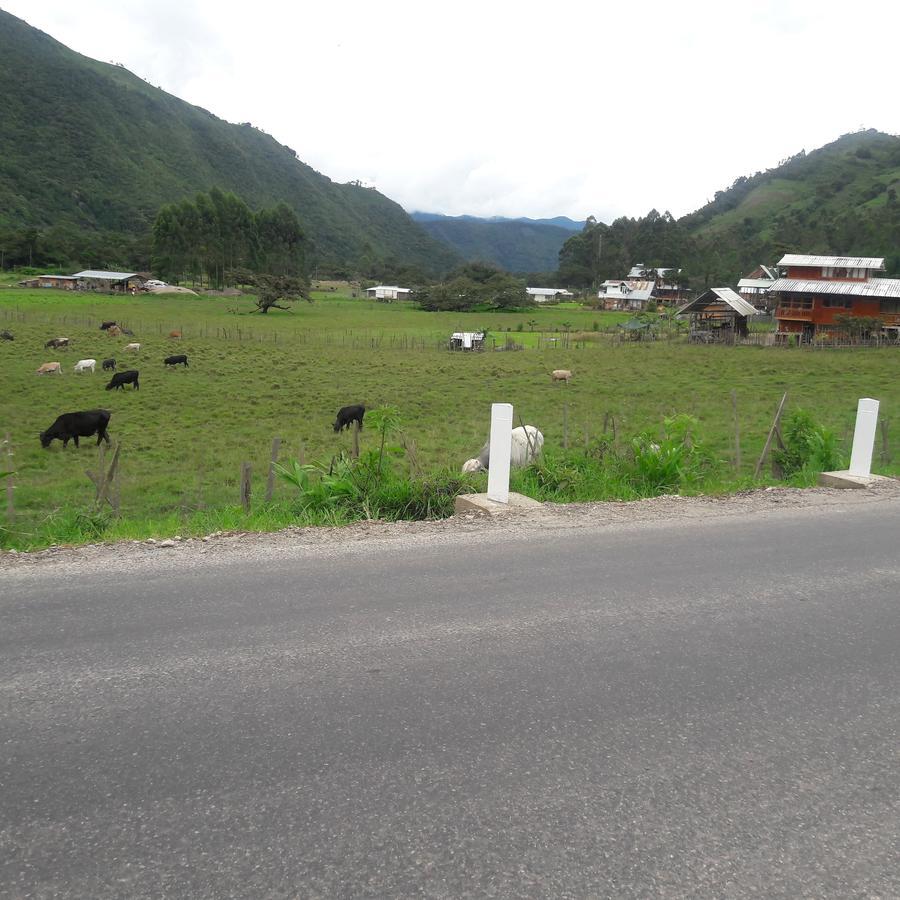 Affittacamere Suzet House Oxapampa Esterno foto
